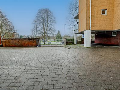 Picture 16